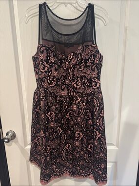 Trixxi Pink Black Paisley Mesh Illusion Fit & Flare Dress 1X